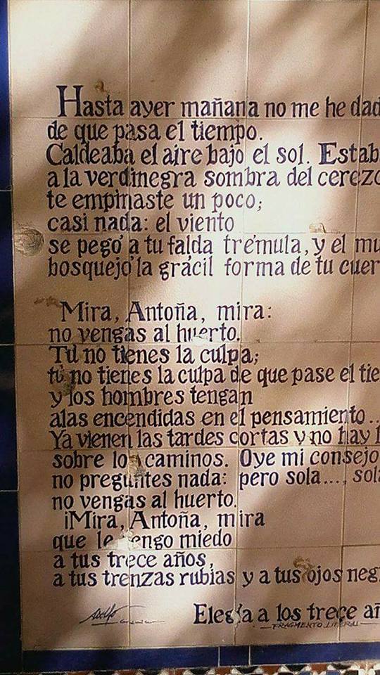 Efectos del vendaval en Cabra el 3 de febrero de 2017.